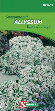 S07143 Alyssum Sneeuwtapijt Wit Eénjarig. Lage compacte honingplant met sneeuwwitte bloemen bedekt. Zaaien ter plaatse. De zaadjes licht bedekken en de grond aandrukken. Begieten en meermaals uitdunnen om een gunstige afstand tussen de planten te bewaren.


hoogte :
10 cm Alyssum sneeuwtapijt wit